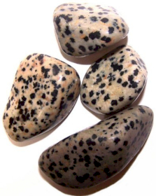 24x Pedras Preciosas - Dalmata