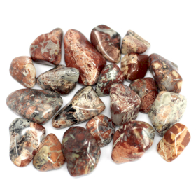 20x Pedras Preciosa Africana - Jaspe Brechado - Claro