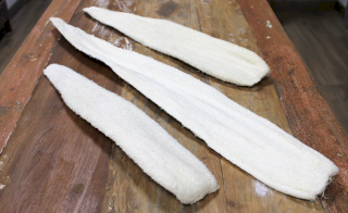 10x luffa longa (60-90cm)