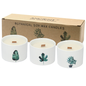 3x Velas botânicas médias - Mullberry Harvest