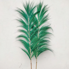 3x Rayung Palmeira Verde  - 1.6m
