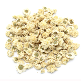 Camomila-romana (flor) 1Kg