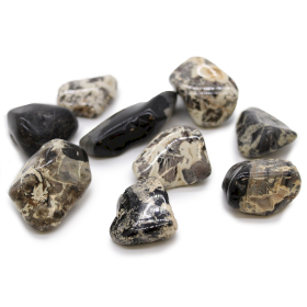 18x XL Pedras Naturais  - Jasper - Silverleaf