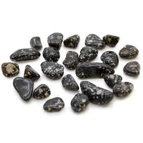 24x Pedras Africanas Pequenas - Galinha d\'angola