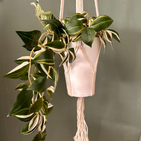 3x Porta-Vasos em Macramé Clássico - Natural Médio