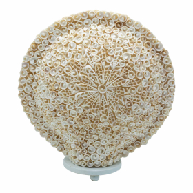 Candeeiro Boho de Conchas do Mar - Redondo Recortado Grande - 30cm