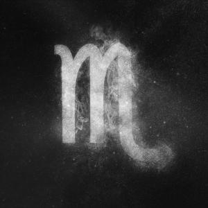 Revenda de Produtos Escorpião