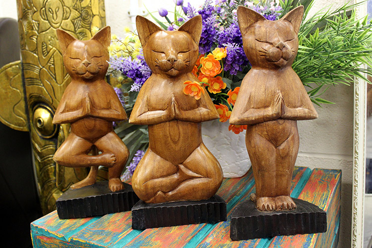 Gatos de Yoga
