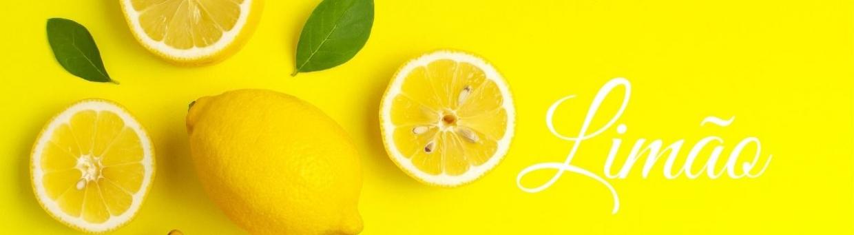 fabricante de produtos de limão