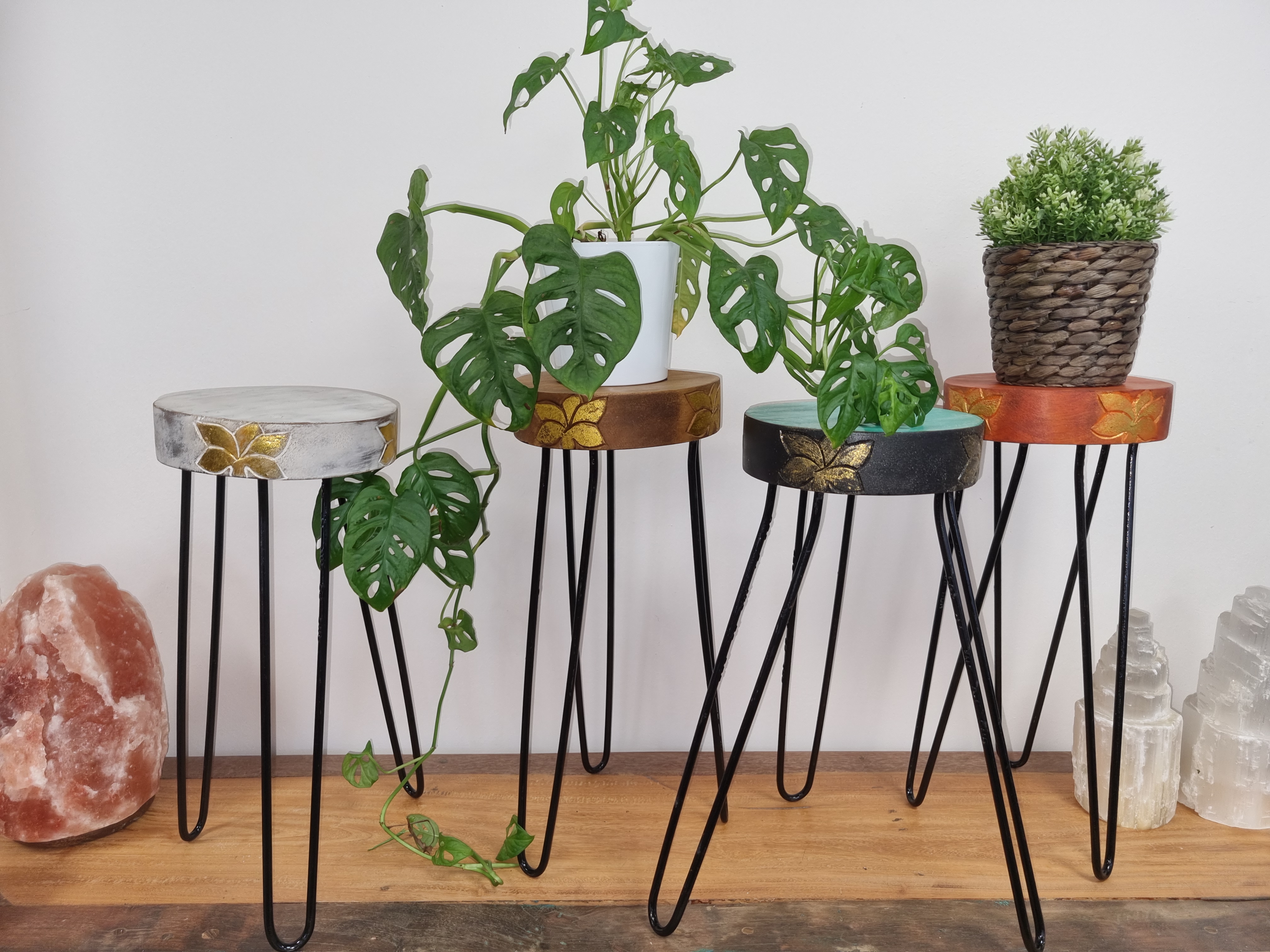 Fornecedor de suporte de plantas