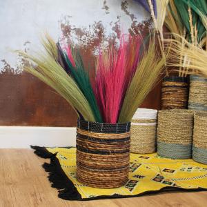 Pampas naturais para decoração