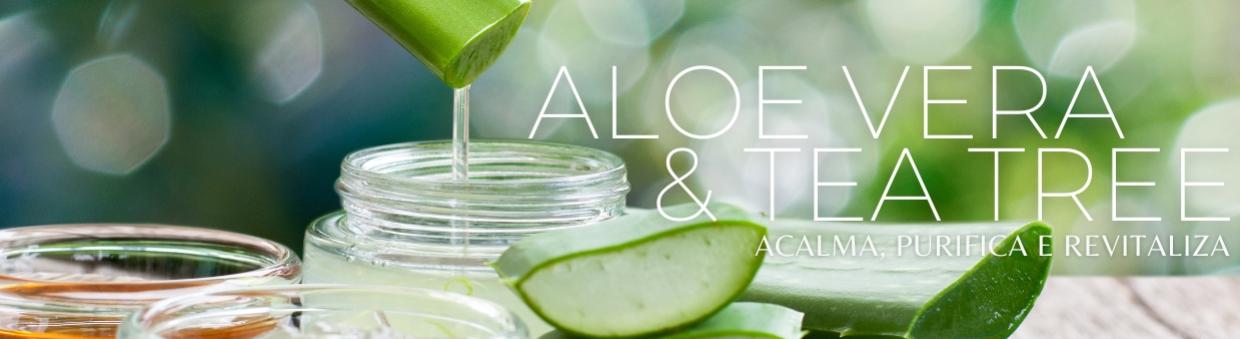 Fornecedor de Aloe Vera & Tea Tree