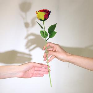 Fornecedor de Flores de sabão
