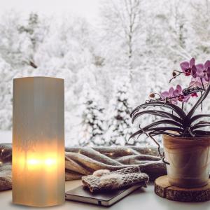 Revenda de Produtos de Selenite