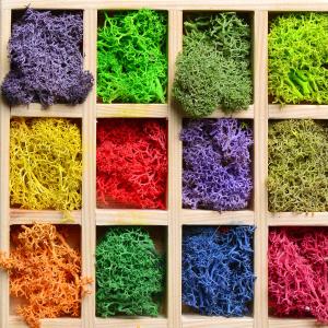Venda por Atacado de Decoração e Flores