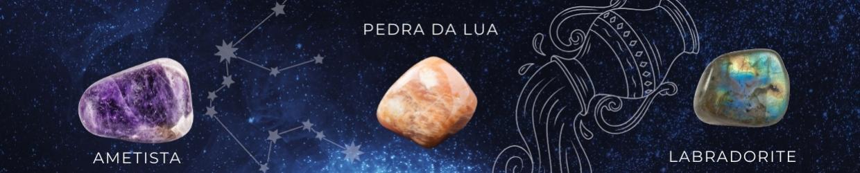 Revenda de Produtos de Aquário Signo