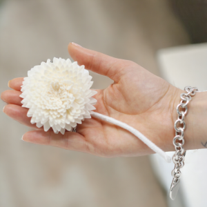 Fornecedor de Flors para Difusores