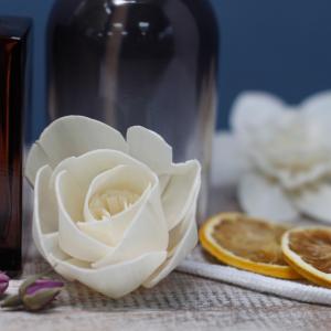 Revenda de Flores DIfusores Naturais