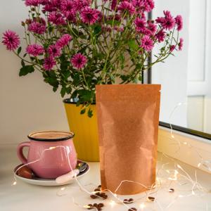 Sacos Kraft de Papel para Lojas