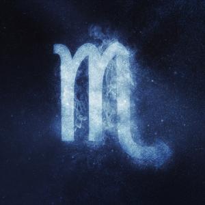 Revenda de Produtos Escorpião